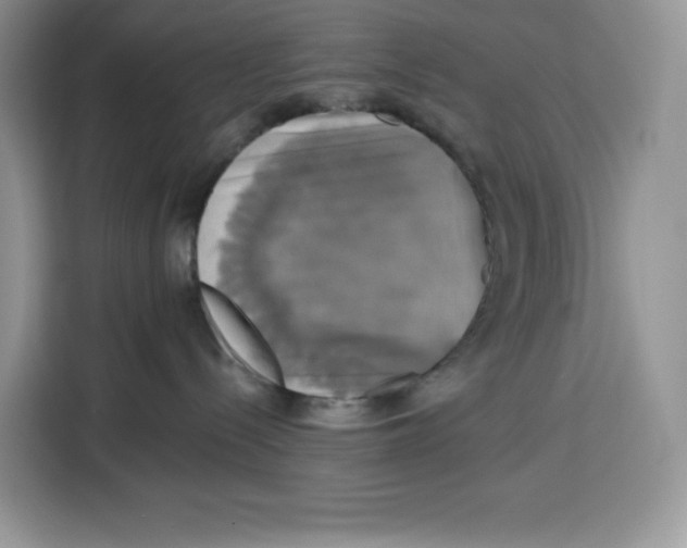X0000115090288200911241219