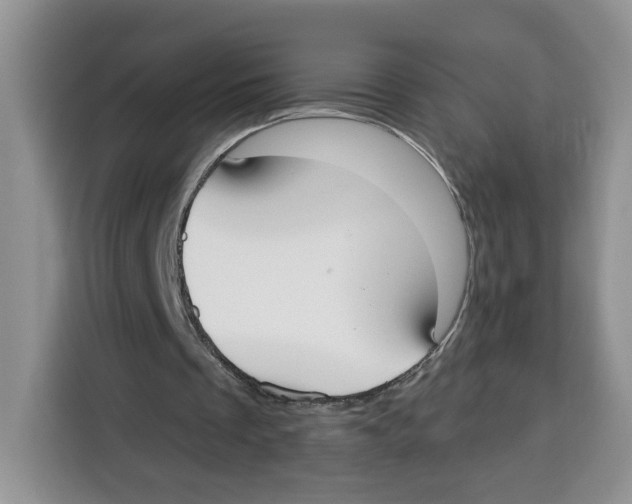 X0000115090289200911241219