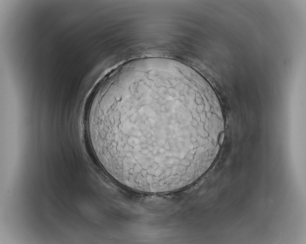X0000115090290200911241219