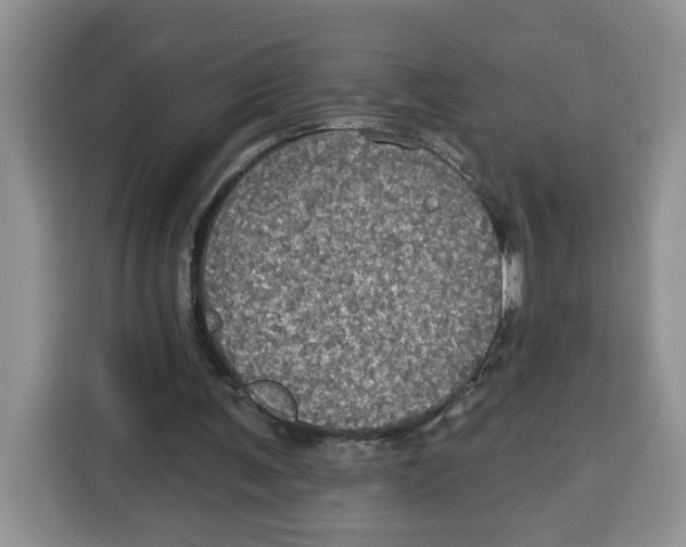 X0000115090291200911241219