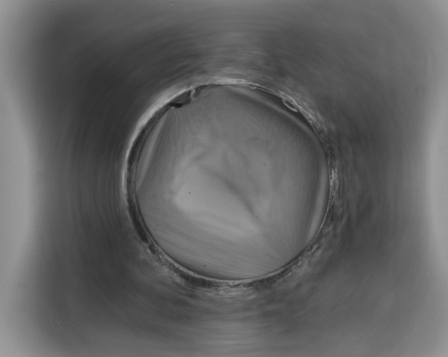 X0000115090292200911241219
