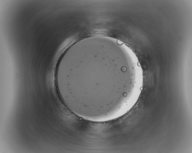 X0000115090293200911241219