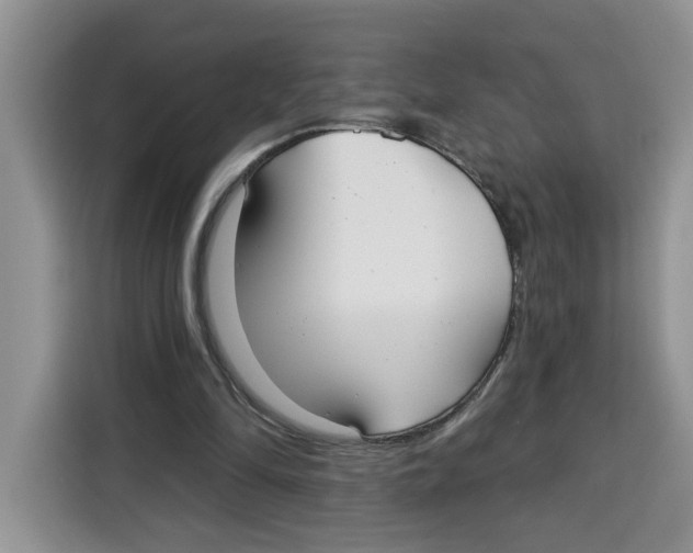 X0000115090294200911241219