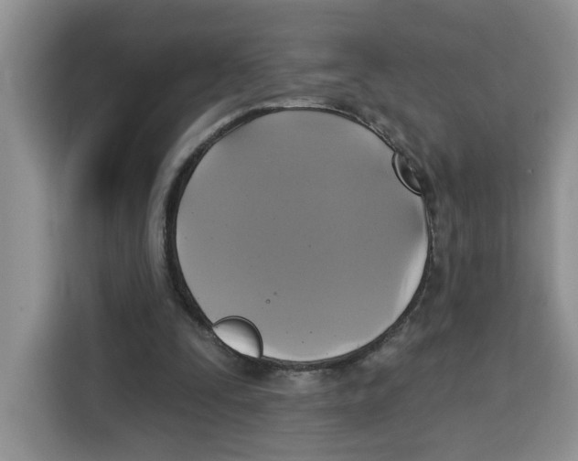 X0000115090295200911241219
