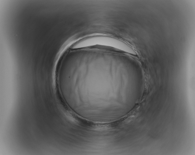 X0000115090296200911241219