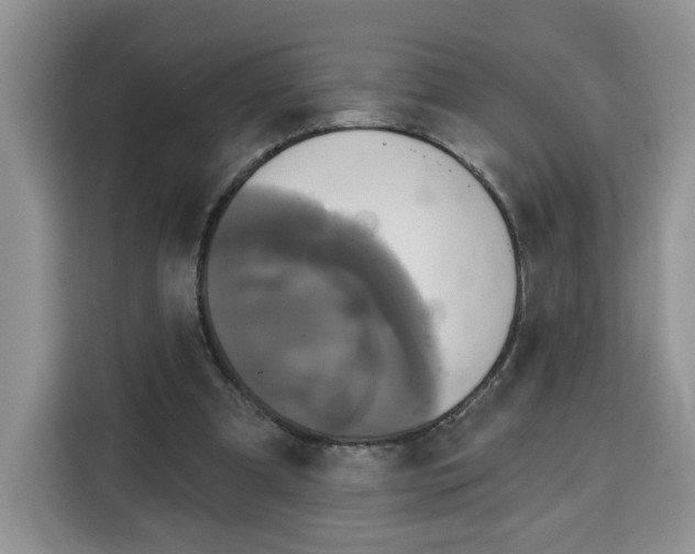 X0000115090297200911241219