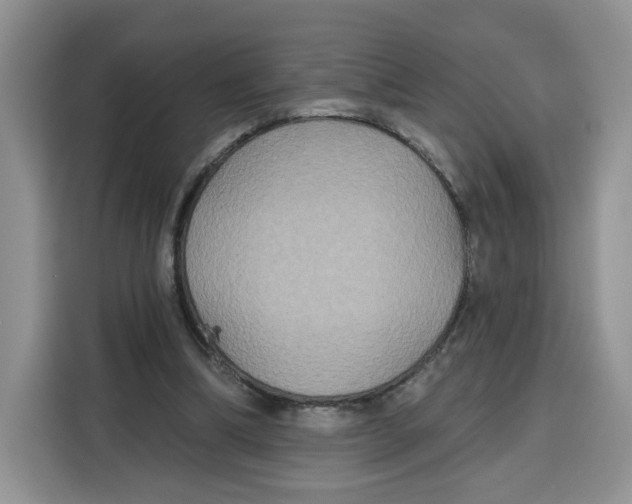X0000115090298200911241219