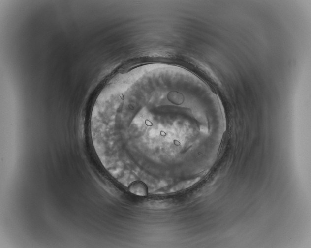 X0000115090299200911241219