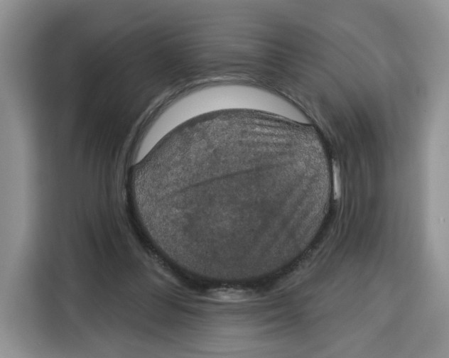 X0000115090300200911241219