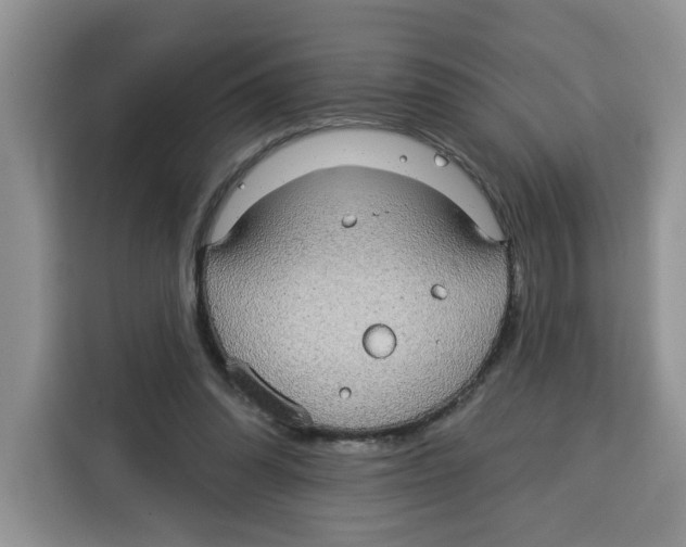 X0000115090302200911241219