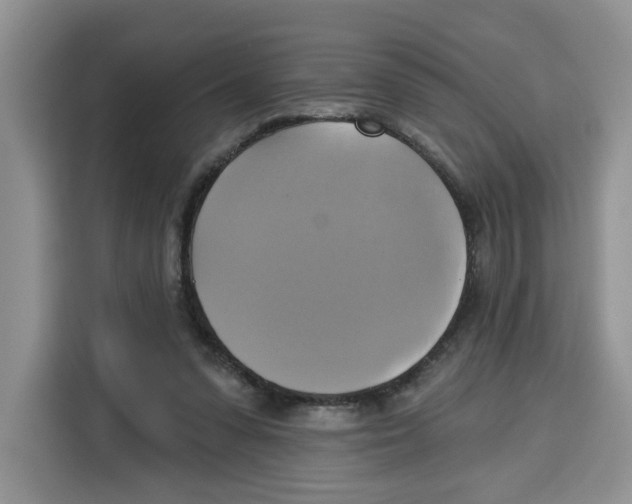 X0000115090303200911241219