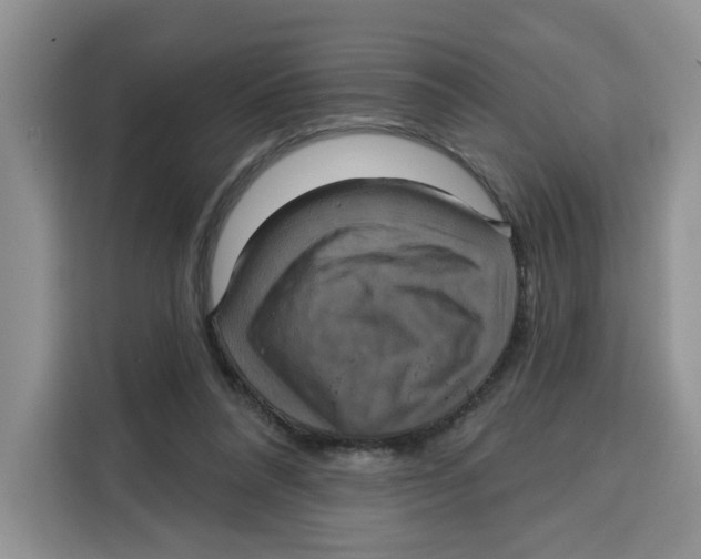 X0000115090304200911241219