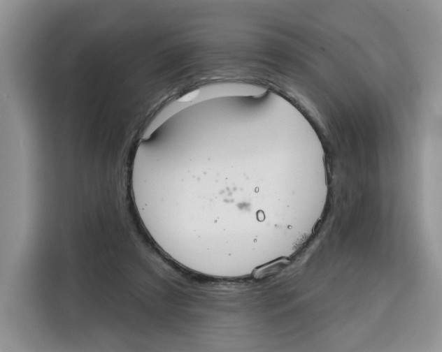 X0000115090305200911241219
