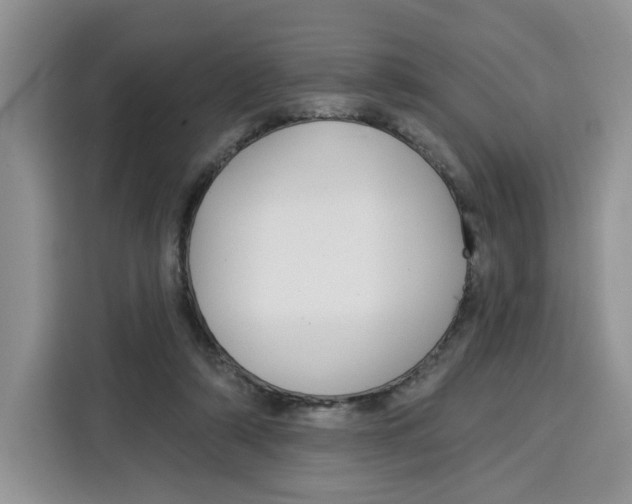 X0000115090306200911241219