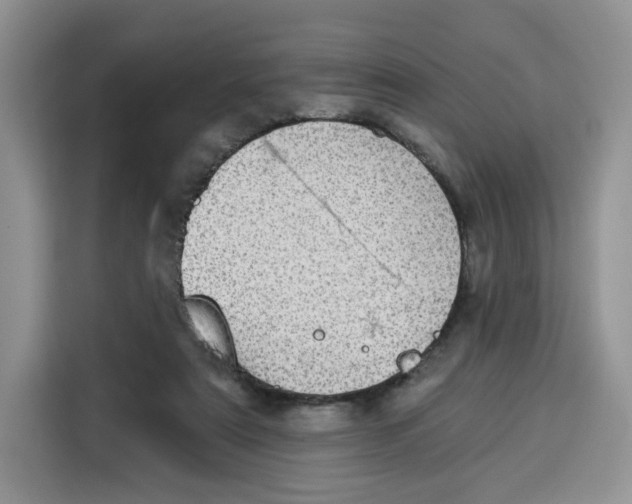 X0000115090307200911241219