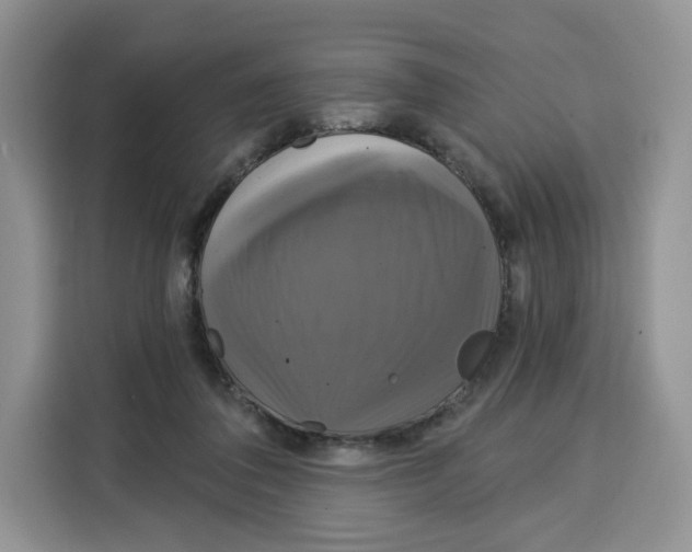 X0000115090308200911241219