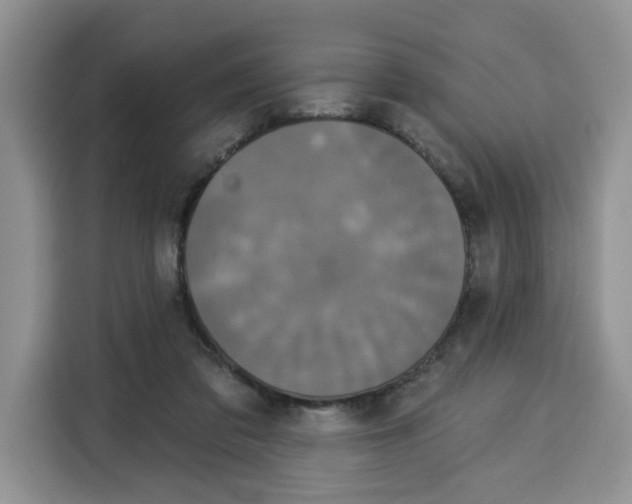 X0000115090309200911241219