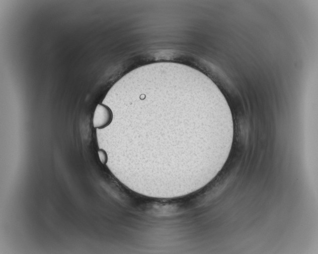 X0000115090311200911241219