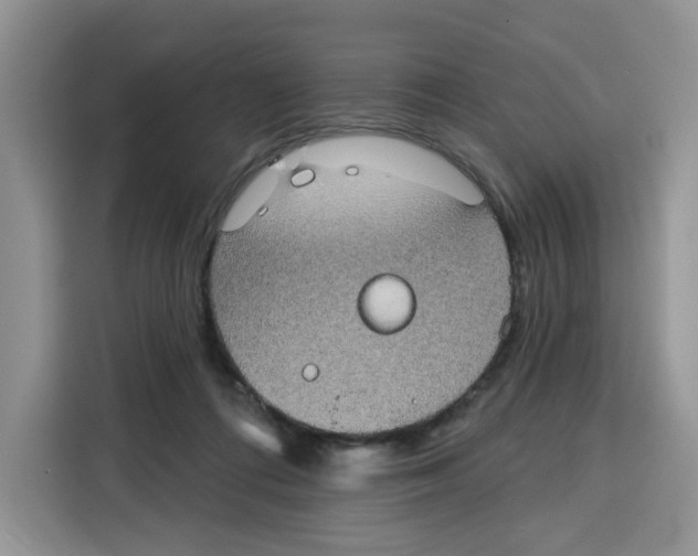 X0000115090312200911241218