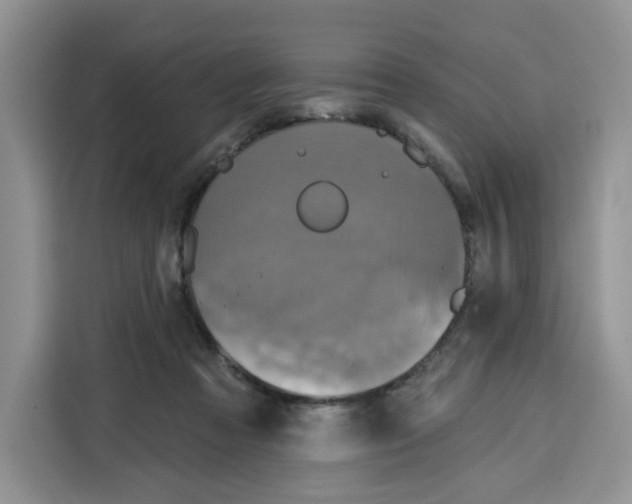 X0000115090313200911241218