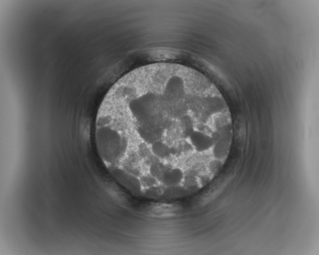 X0000115090315200911241218