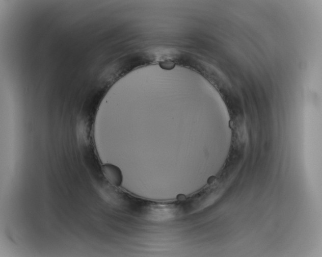 X0000115090316200911241218