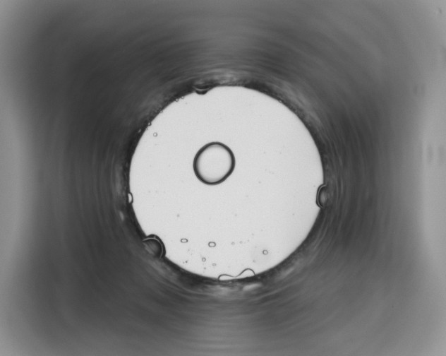 X0000115090317200911241218