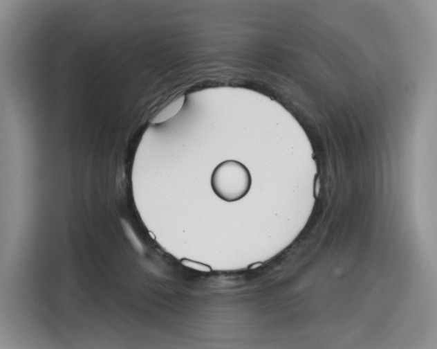 X0000115090320200911241218