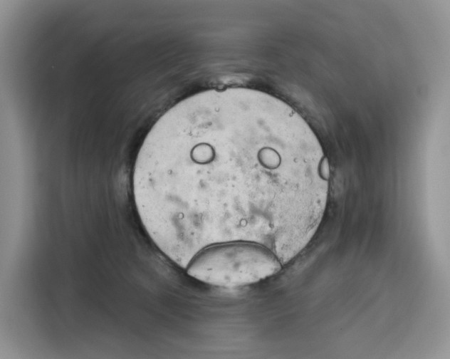 X0000115090321200911241218