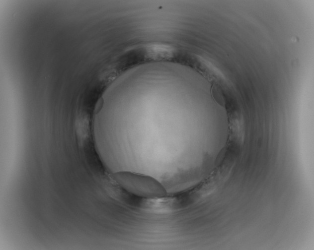 X0000115090323200911241218