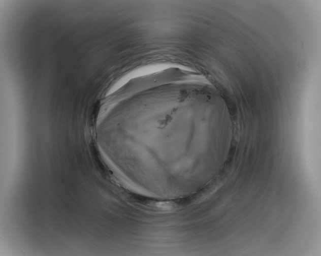 X0000115090324200911241218
