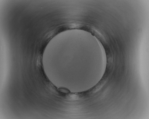 X0000115090325200911241218