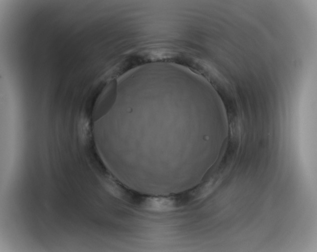 X0000115090327200911241218