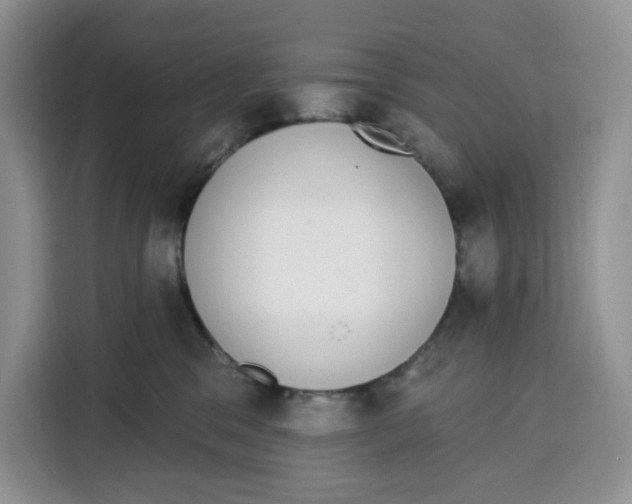 X0000115090329200911241218
