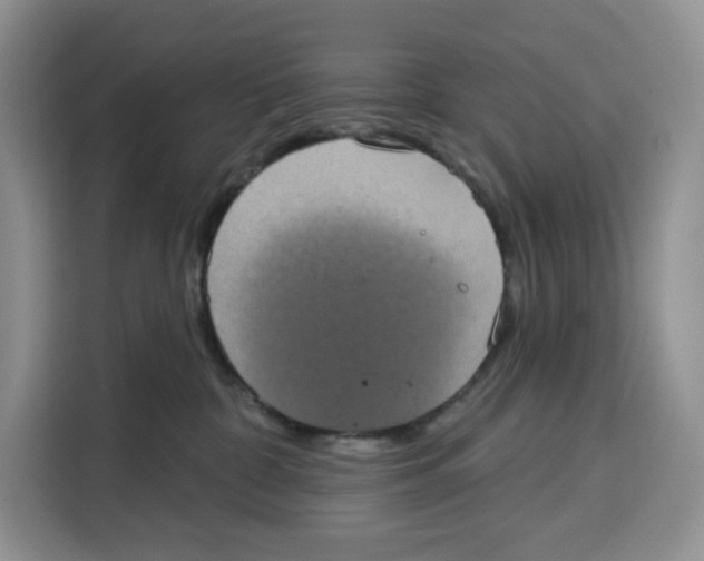 X0000115090332200911241218
