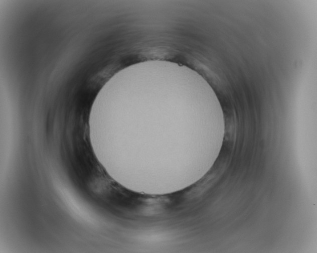 X0000115090334200911241218