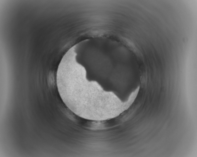 X0000115090335200911241218