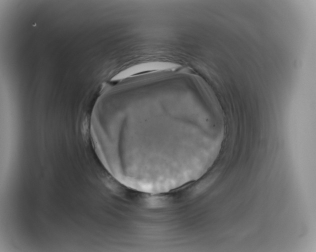 X0000115090336200911241218