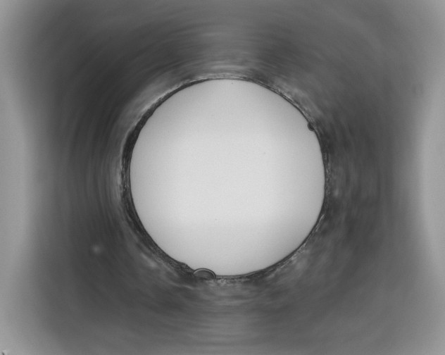 X0000115090338200911241218