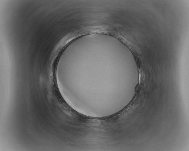 X0000115090339200911241218
