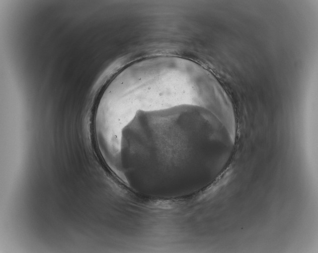 X0000115090341200911241218