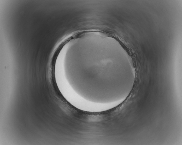 X0000115090342200911241218