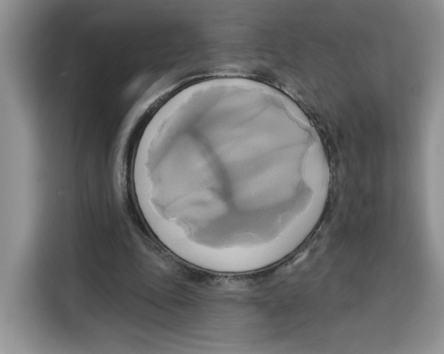 X0000115090343200911241218