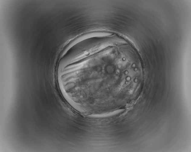 X0000115090345200911241218