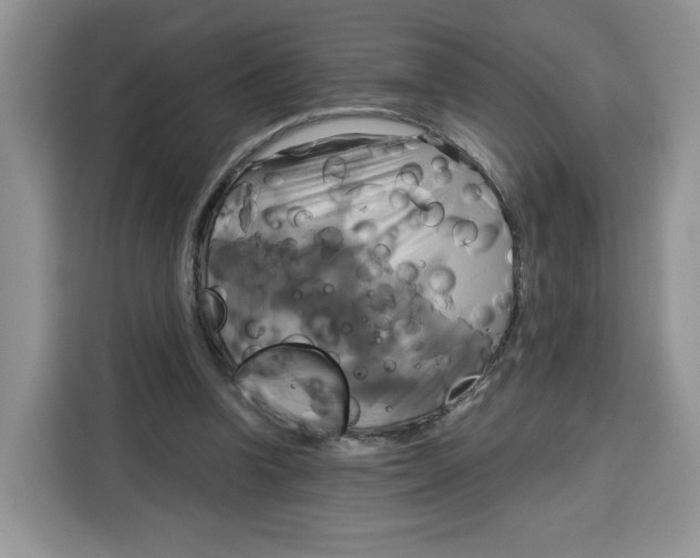 X0000115090346200911241218