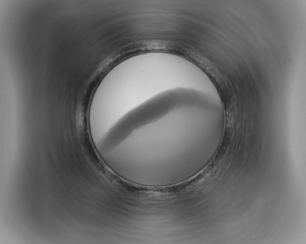 X0000115090347200911241218