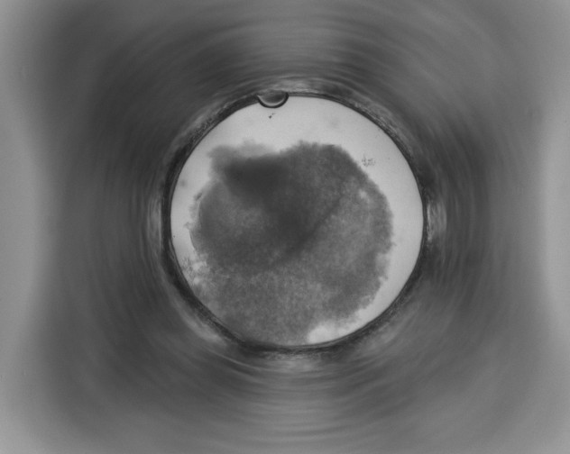X0000115090349200911241218