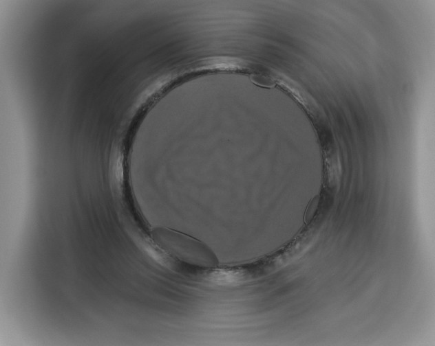 X0000115090350200911241218