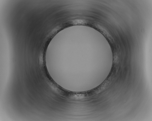 X0000115090353200911241218