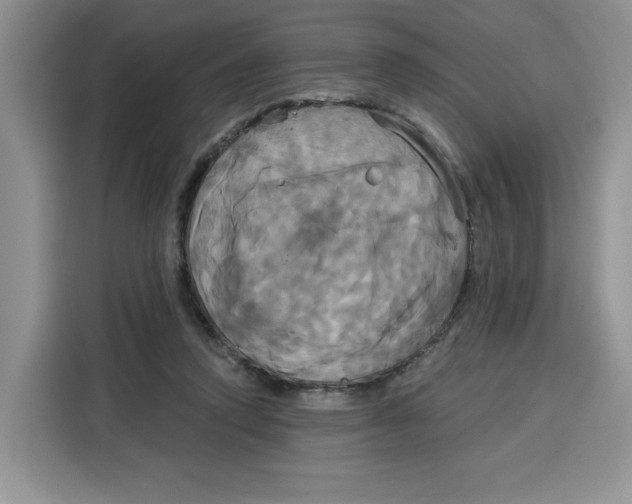 X0000115090354200911241218